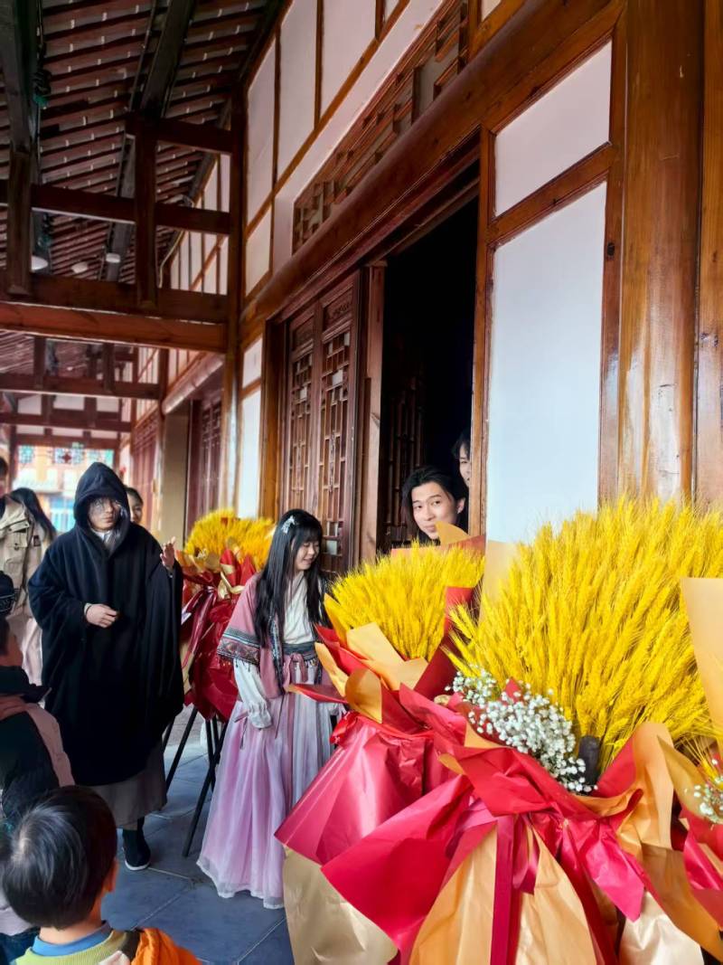 凤山县文旅项目策划
